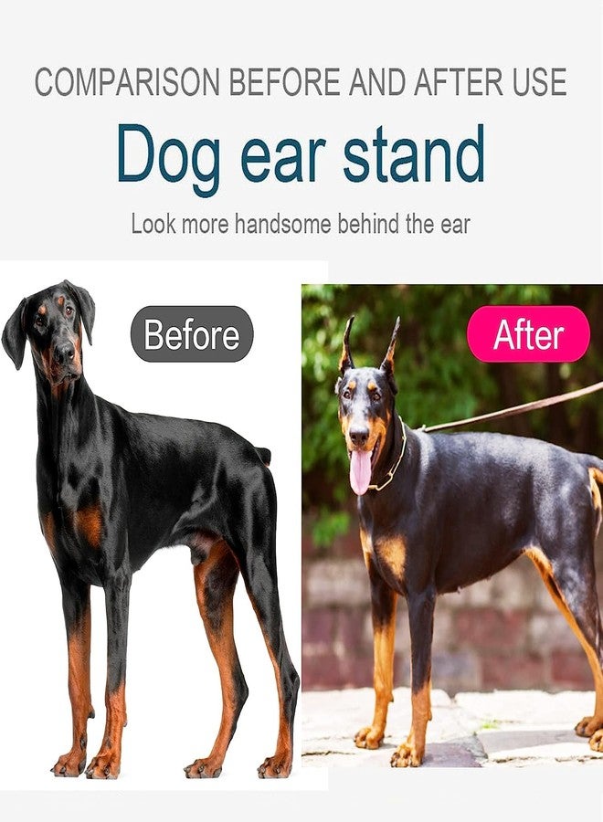Pacify Doberman Dog Ear Posting Kit, Dog Ear Stand Up Support Tool with Tape Doberman Pinscher Dogs - Image 3